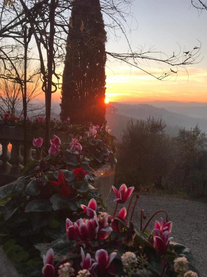 Villa La Piccioncina Firenze Екстер'єр фото