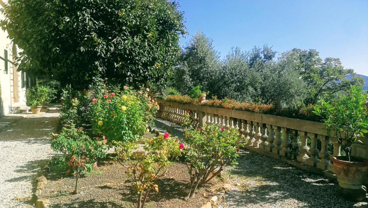 Villa La Piccioncina Firenze Екстер'єр фото